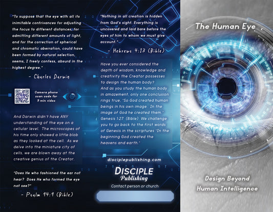 Human Eye Tract