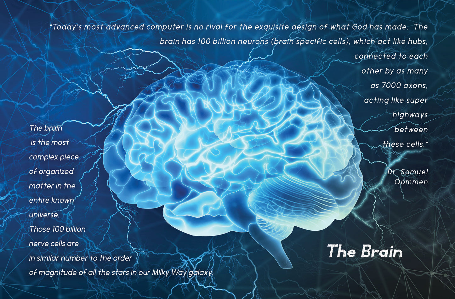 An Awesome Display of Evidence for a Creator