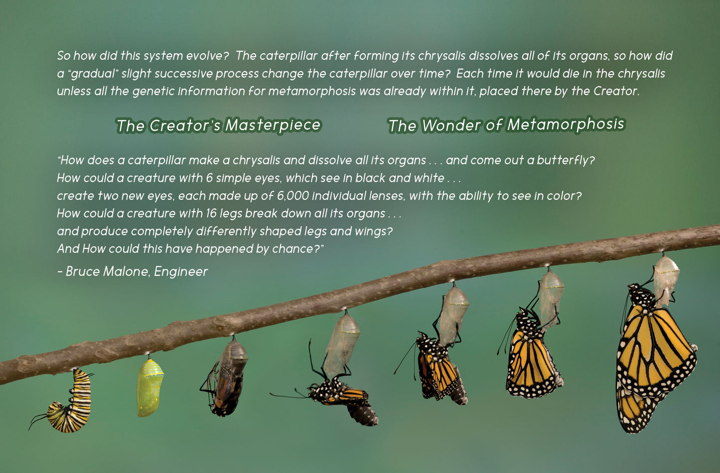 An Awesome Display of Evidence for a Creator