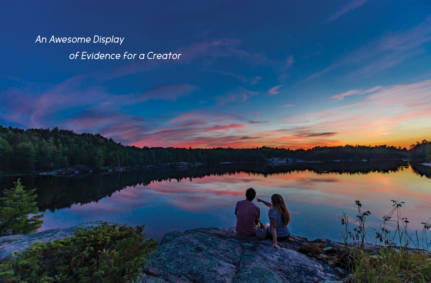 An Awesome Display of Evidence for a Creator