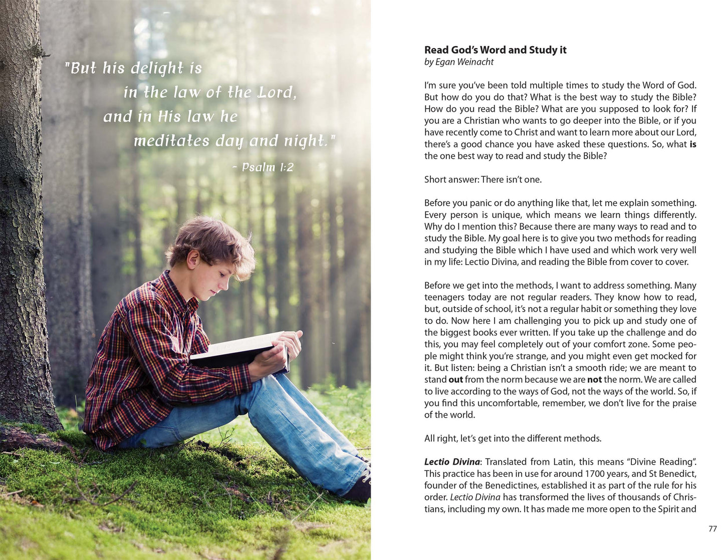 Kingdom Disciple:  31 Young Authors Ignite a Generation to Pursue Jesus